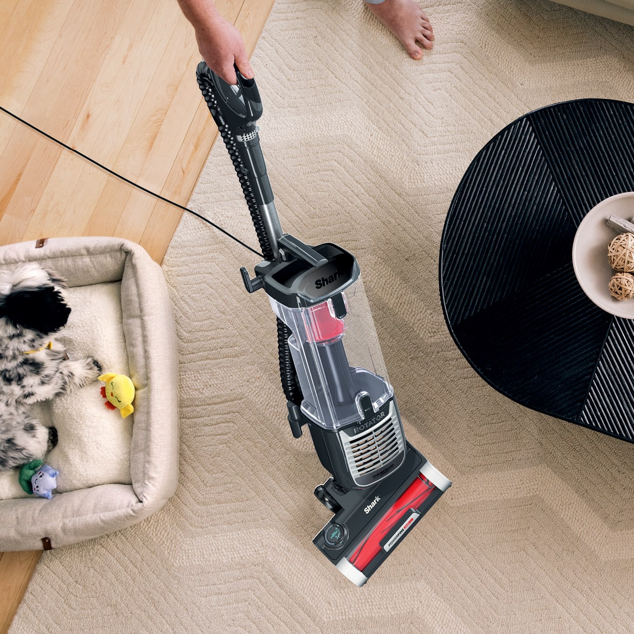 Newest 2024 shark vacuum
